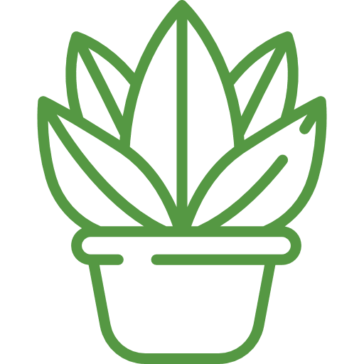 Expert Gardening Tips & Hydroponic Insights