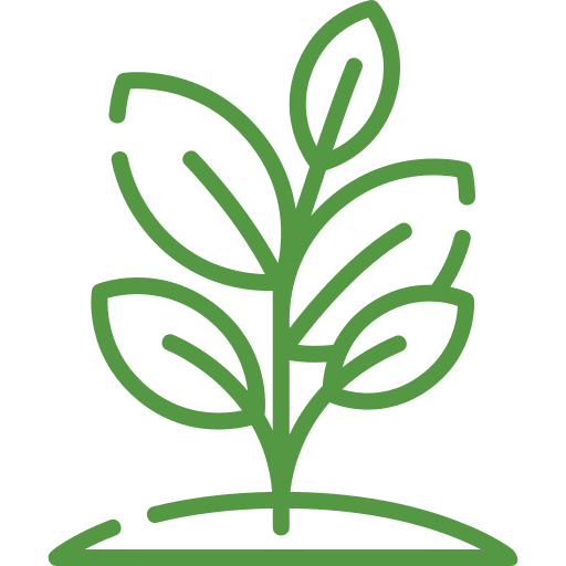 Organics & Amendments